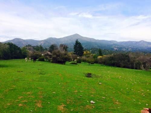 Parcela en Melipilla — foto 1 de 1